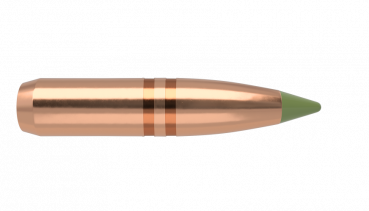 Nosler Expansion Tip 59765 Bullet